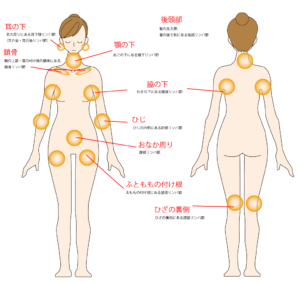 ヘッドマッサージとリンパ